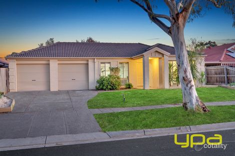 19 Astley Wynd, Lynbrook, VIC 3975