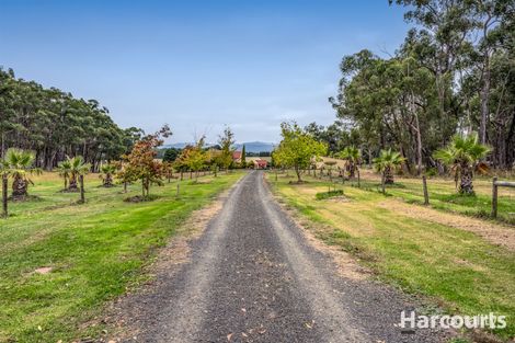 370 Colleys Rd, Yinnar South, VIC 3869