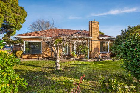 Property photo of 239 Francis Street Yarraville VIC 3013