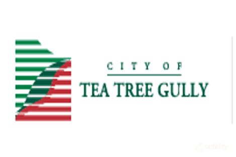 Property photo of 3 Casuarina Avenue Surrey Downs SA 5126