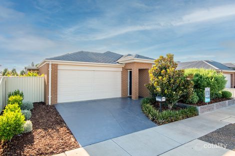 36 Grampians Pde, Shepparton North, VIC 3631