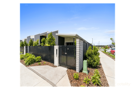 11 Dann Walk, Palmview, QLD 4553