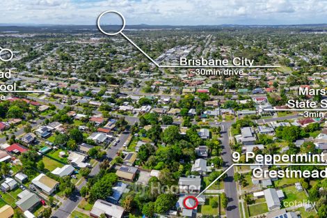 Property photo of 9 Peppermint Street Crestmead QLD 4132