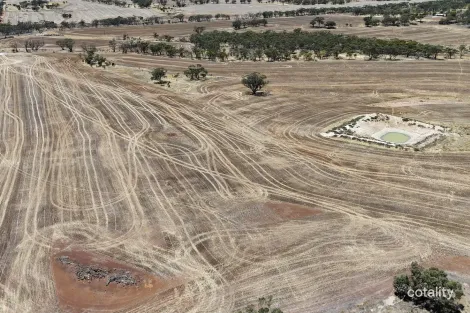 Cunderdin-Quairading Rd, Youndegin, WA 6407