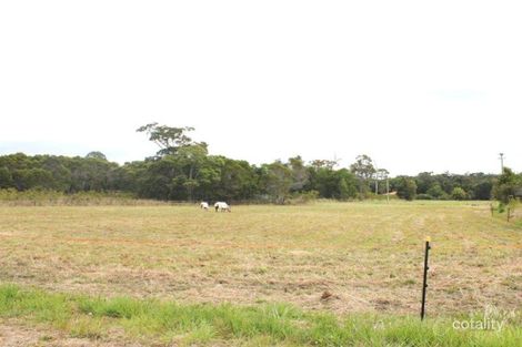 Property photo of 55 Eucalypt Way Cootharaba QLD 4565