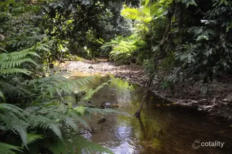 Property photo of LOT 204 Wall Road Japoonvale QLD 4856