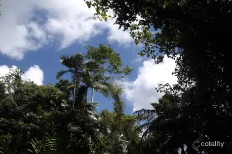 Property photo of LOT 204 Wall Road Japoonvale QLD 4856