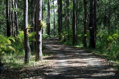 Property photo of 448 Lake Flat Road Cootharaba QLD 4565