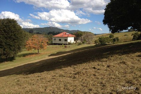 295 Gungas Rd, Nimbin, NSW 2480