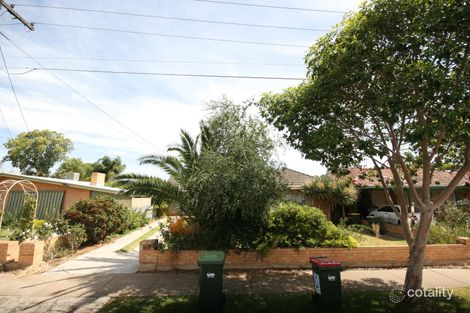 Property photo of 17 Kenton Street Lockleys SA 5032