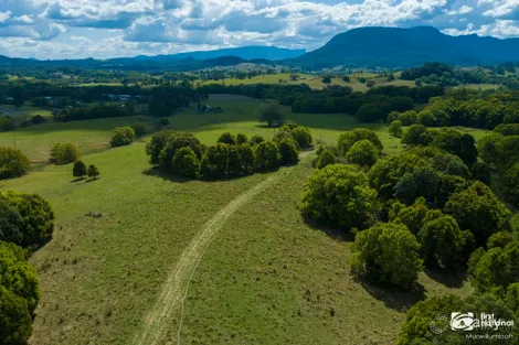 Property photo of 75 Tuntable Falls Road Nimbin NSW 2480