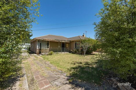 Property photo of 24 Yawla Street Bentleigh VIC 3204