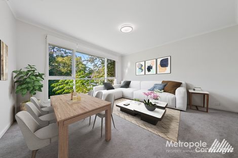 Property photo of 55 Aileen Avenue Caulfield South VIC 3162
