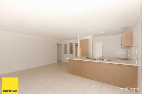 Property photo of 3 Westminster Crescent Raceview QLD 4305