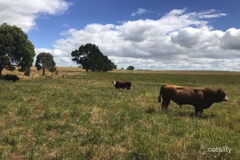 Lot 114 Hill Rd, Yahl, SA 5291