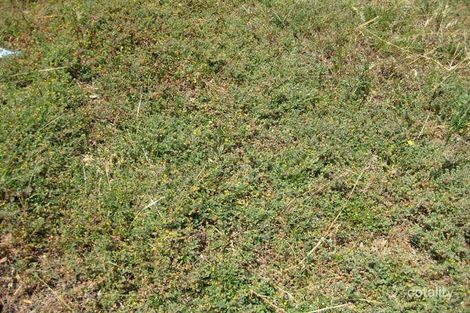 100 Robinswood Pde, Narre Warren South, VIC 3805