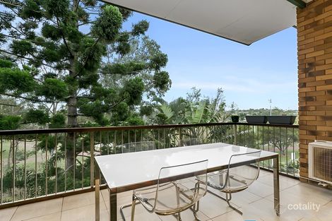 Property photo of 6/45 Dutton Street Hawthorne QLD 4171