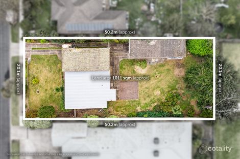 Property photo of 54 Sladen Street Hamlyn Heights VIC 3215