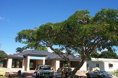 19 Russell St, Cleveland, QLD 4163