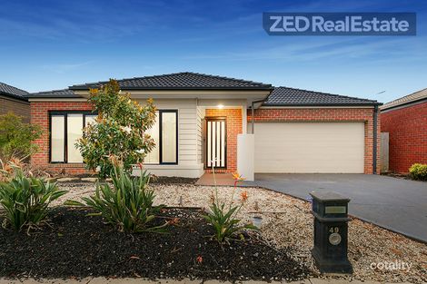 Property photo of 49 Linden Tree Way Cranbourne North VIC 3977