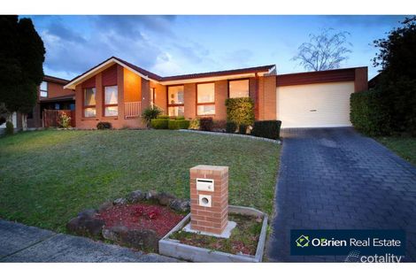 Property photo of 6 Nareen Avenue Endeavour Hills VIC 3802