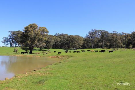 798 Scotsdale Rd, Scotsdale, WA 6333