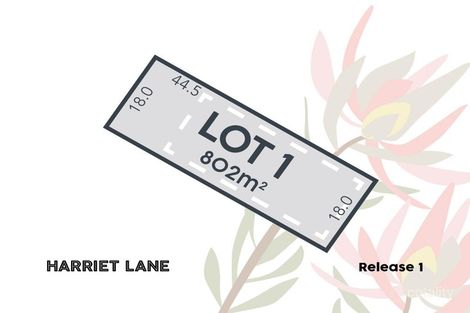 1 Aingeal Pl, Oxenford, QLD 4210