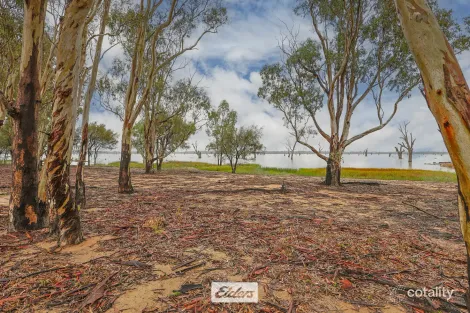 Property photo of 114 Dry Lake Road Euston NSW 2737