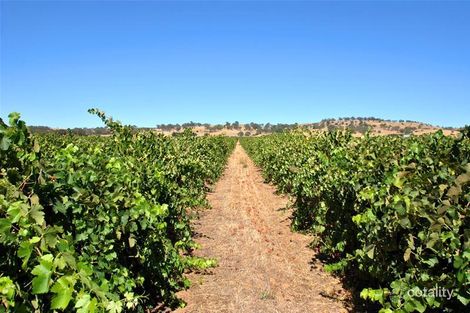 855 Light Pass Rd, Vine Vale, SA 5352