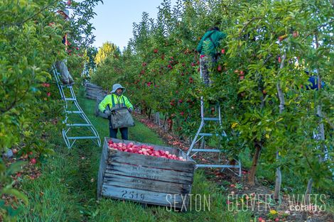 32 Plummers Rd, Forest Range, SA 5139