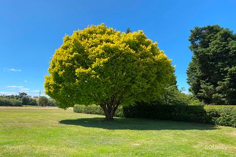 Property photo of 70 Salmon Ponds Road Plenty TAS 7140