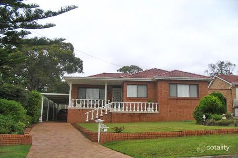 20 Pare Ave, Loftus, NSW 2232