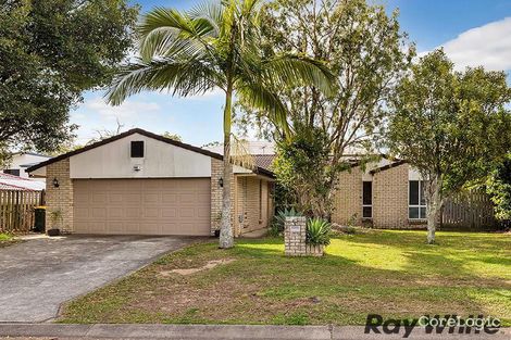 Property photo of 20 Housman Place Calamvale QLD 4116