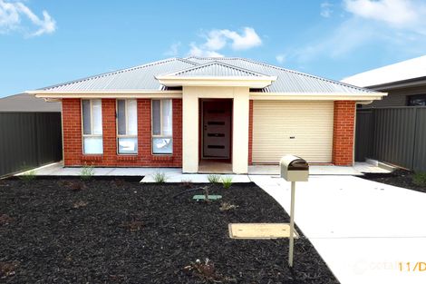 3 Hampel Ct, Evanston South, SA 5116