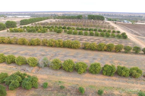 Property photo of 109 Noll Road Murbko SA 5320