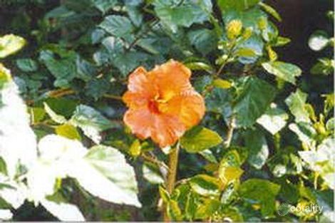 Property photo of 15/1 Tewkesbury Avenue Darlinghurst NSW 2010