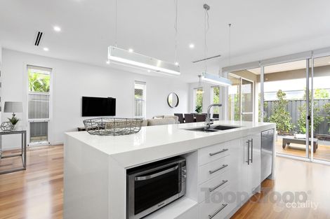 Property photo of 1 Rozells Avenue Lightsview SA 5085