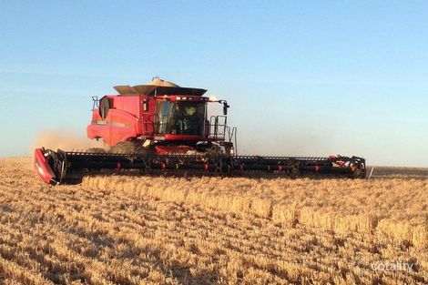 119 Presley Rd, Manangatang, VIC 3546