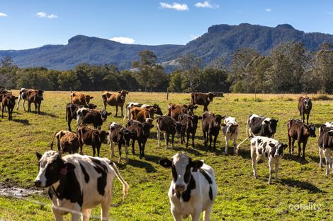 Property photo of 652 Upper Lansdowne Road Upper Lansdowne NSW 2430