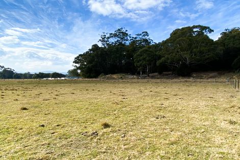 259 Medeas Cove Rd, St Helens, TAS 7216