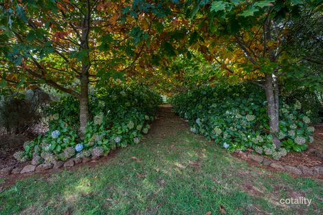 Property photo of 58 Barrington Road Barrington TAS 7306