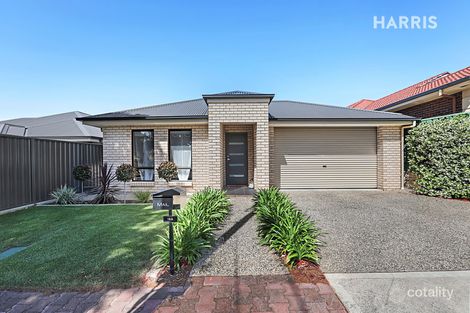 19a Morgan St, South Brighton, SA 5048
