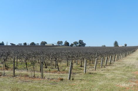 Property photo of 121 Elephant Trunk Road Cobdogla SA 5346