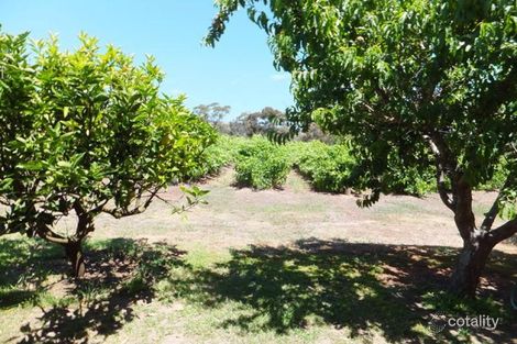 Property photo of 70 Trotts Road McLaren Flat SA 5171