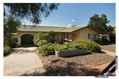 Property photo of 77 Denny Street Latham ACT 2615