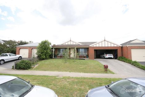 14 Waddington Ct, Highton, VIC 3216