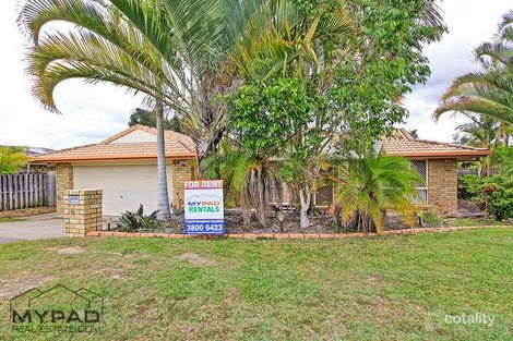10 Lewis Pl, Calamvale, QLD 4116