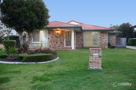 Property photo of 31 Oceanview Street Point Vernon QLD 4655