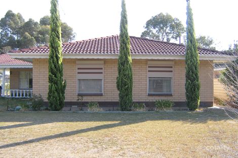 Property photo of 51 Park Terrace Bordertown SA 5268