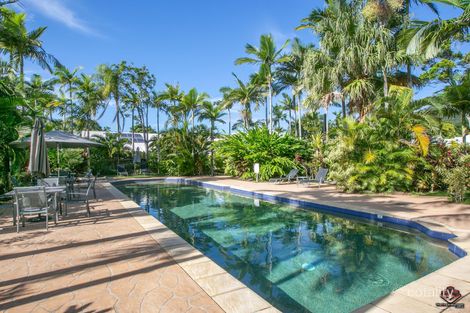 Property photo of 24 Warren Street Palm Cove QLD 4879